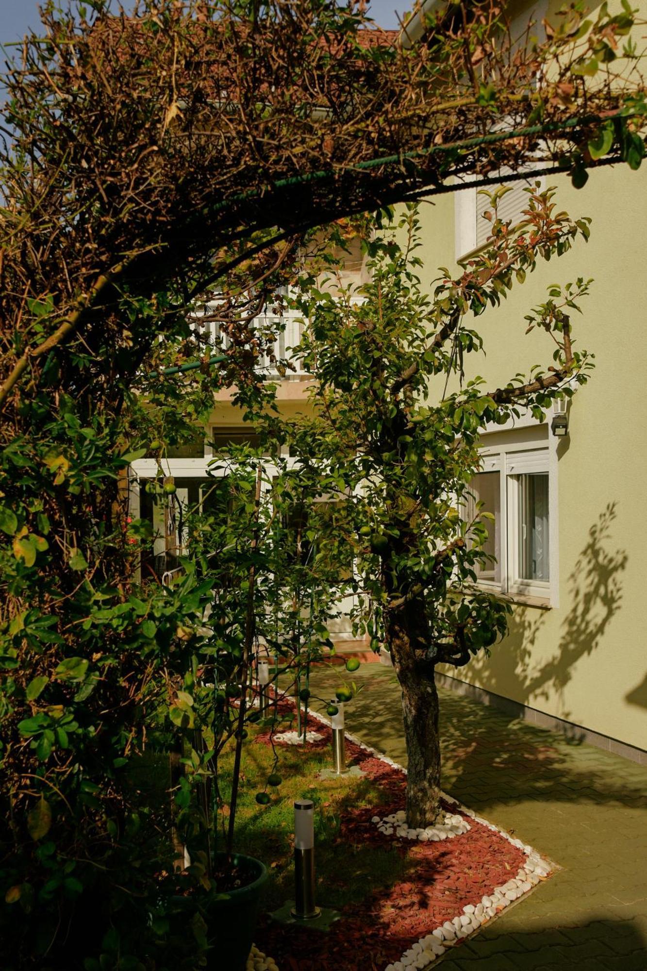 Apartmán Soba Luic Zupanja Exteriér fotografie